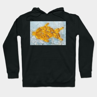 fish oil tablets Hoodie